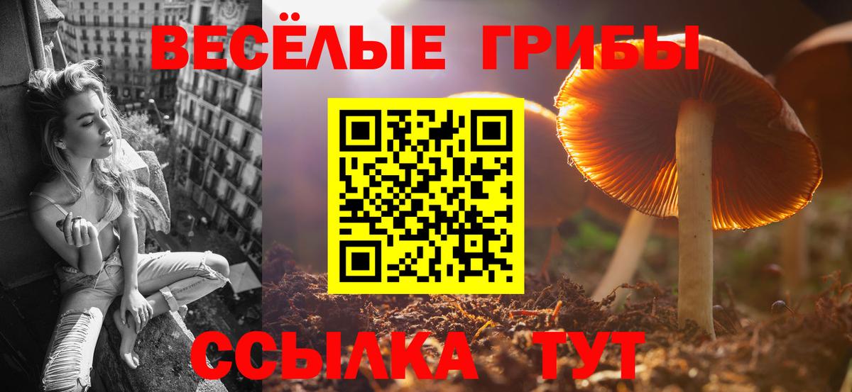 Псилоцибиновые грибы Psilocybine cubensis  Вход с VPN  Кушва 