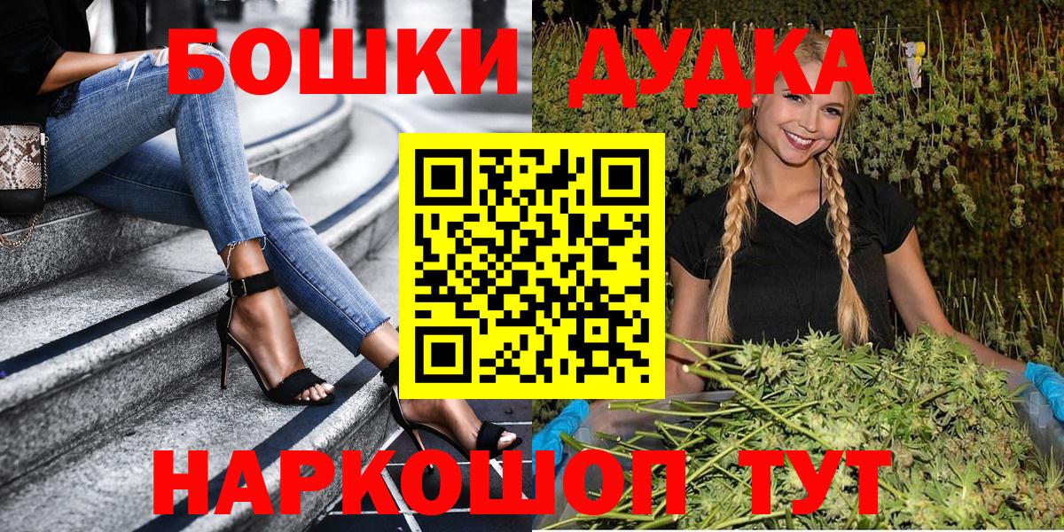 Конопля сатива Кушва